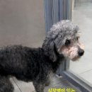 유주메디칼 이미지