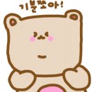 잉크존