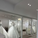 사천로 | [wedding 9] 라피네 본식 드레스(아르떼 웨딩홀) 셀렉 후기