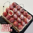 한스랜드 | 롯데호텔 델리카한스 프리미엄 딸기 케이크 / 크리스마스 케이크 추천