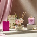 스테이 봄 이미지