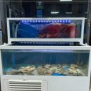 미나리 수산 이미지