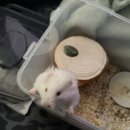 수사랑 동물병원 이미지