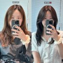 (주)힐링파마 | 합정미용실 추천 도심헤어 주세본원장님 브라운염색 후기