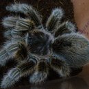 헤어로즈 이미지