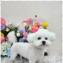 오늘도예쁘게 이미지