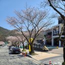 황금 노래연습장 이미지