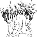 핫피자&버거 이미지