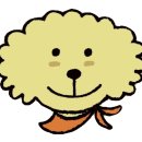 마이하우스퍼피 수원애견미용훈련 | 광교강아지분양 40만원부터 만나보는 말티푸입양