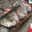 대화식당 이미지