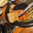 진포크촌돼지생고기숯불갈비 | 용인 포곡읍 맛집 둔전 맥돈한우 신선한 고기 소주 무한리필인 곳