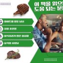 한우전자 이미지