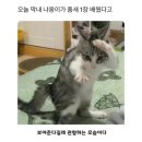 마음드리