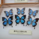먹거리마당 이미지