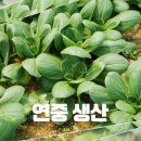 지해농장 네이버블로그