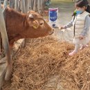 여물소농장 이미지