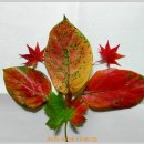 남양성지로 이미지