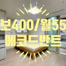 에코드반트 이미지