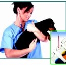 비비펫동물병원 이미지