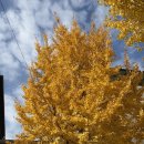 이수제철판왕돈까스 | 이수제철판왕돈까스 내돈내산 솔직후기