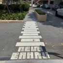 (주)바인스 | 2025년 6월 엄마와 싱가포르로 떠난 일기 (1)