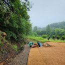운정,파주,문산,광탄 산소 야자매트 설치및 가격 수명 잡초 제초매트 설치 시공 방법