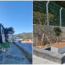 계천시장 이미지