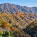 방화동 생태길 이미지