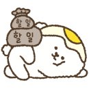 영도밀면 이미지