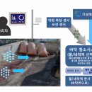 독산동우시장 이미지