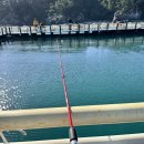 송정유료낚시터 이미지