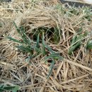 터골농장 이미지