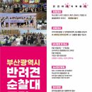부산시 자치경찰위원회, 「2026년 부산 반려견 순찰대」 모집! 이미지