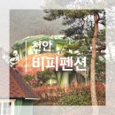 비피펜션 | [천안/펜션] 프라이빗한 바베큐룸이 매력적인 애견동반가능🐶 비피펜션
