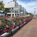 지체장애인협회서울특별시 노원구 지회 이미지