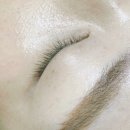 (주)디디엠이십사 | 동대문 속눈썹 / 디디엠뷰티 / 러시안볼륨