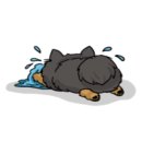 청주 입이즐거운그만두 비하점