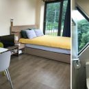 스테이523 이미지