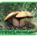 서울컴퓨터세탁 이미지