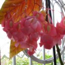 우리친구호프 이미지