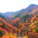 크린센터 네이버블로그