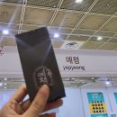 11215-자양2-171 | 6월 일기 #48 | 기쁨이 가는 곳에 슬픔도 가야지