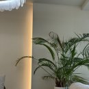 커스텀 호텔 이미지