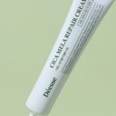 디에스케어 이미지