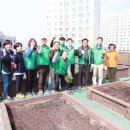 수원시 권선구 텃밭 수원시민신문