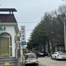 성원닭갈비 | 삼척 맛집 추천 성원물닭갈비 삼척찐맛집 내돈내산 성원닭갈비후기