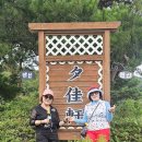 일박이일 Daum카페