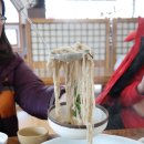 시골손맛 봉평메밀 이미지