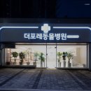 더 포레 동물병원 | 하남동물병원 더포레동물병원 사랑으로 치료하는 병원