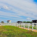 연준목장 이미지